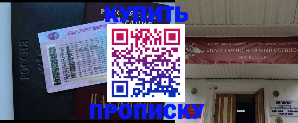 временная регистрация поиск в Никольском